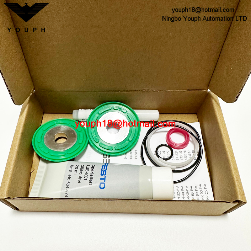 Festo Aen-100-PA 673628 ADN-100 Cilindros compactos ADN/AEN Juego de piezas de uso