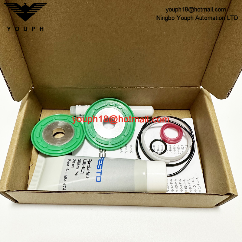 Festo Aen-100-PA 673628 ADN-100 Cilindros compactos ADN/AEN Juego de piezas de uso