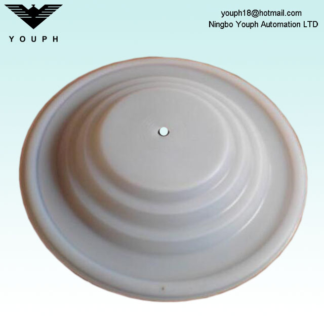 108839 Husky716 Husky515 VA15 VA20 PTFE Membrana D53211 Piezas de diamfragma de la bomba