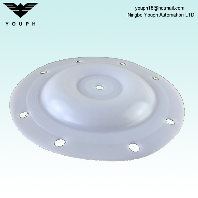 E505TF Versa-Matic 1/2 pulgada PTFE Diafragma 