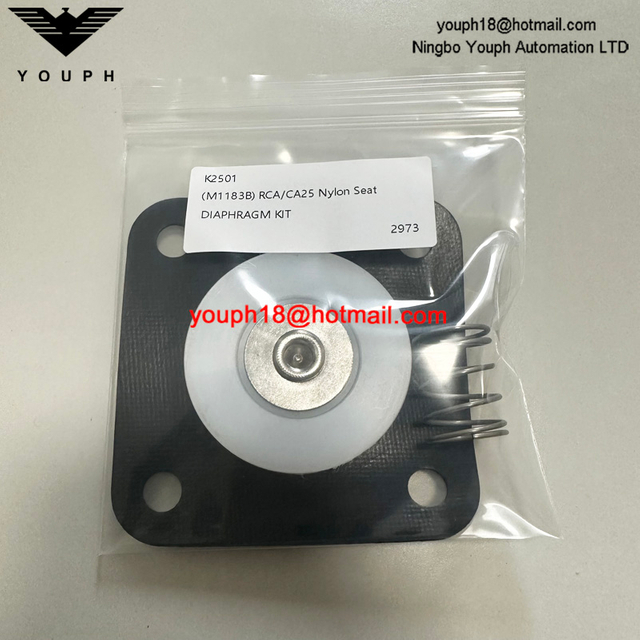 Goyen K2501 M1183B CA25T RCA25T CA25DD2 Válvula de pulsación Buna Diafragm Retait Kit