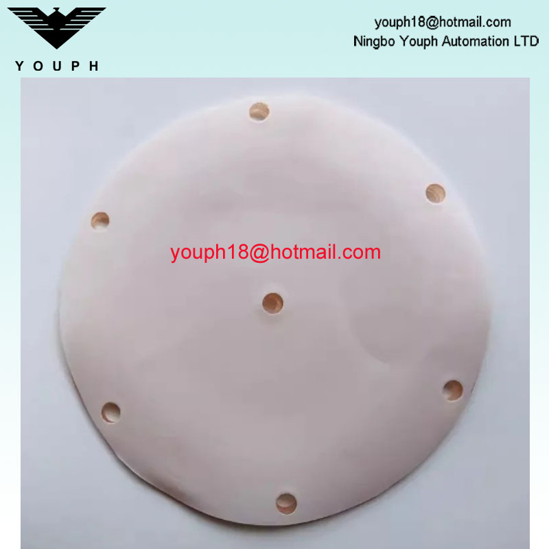 Changjiang QDM-CJ601S Bomba neumática Diafragmas de doble cubierta resistente a la corrosión Diámetro externo 125 mm de 125 mm