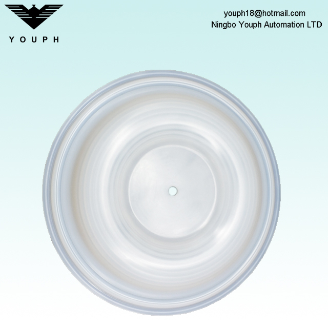 08-1010-55 Diafragma PTFE de 2 'Bomba neumática Wilden P8 T8 Serie 08.1010.55