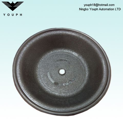 Diafragma V163BN parte de las bombas E4 Versa-Matic