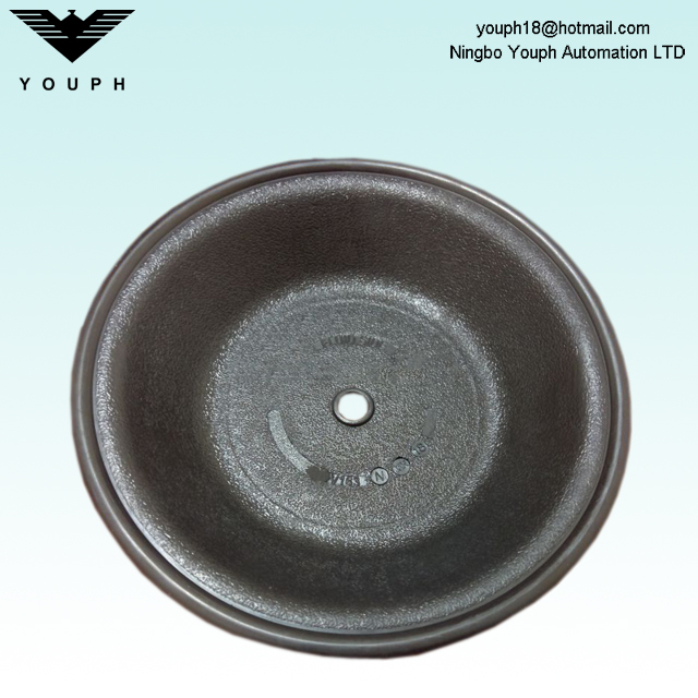 Diafragma V163BN parte de las bombas E4 Versa-Matic