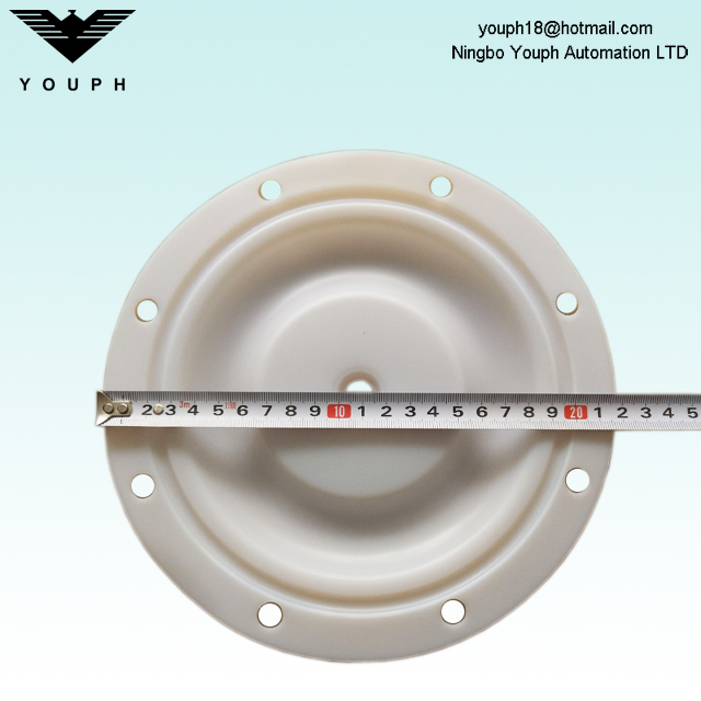 6202 PTFE Membrane Fit BSK - Bombas Diphragm de 25al Ba25al