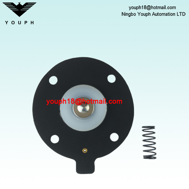 DMF-Z-20 DMF-ZM-20 DN20 Solenoide Pulso Válvula Diafragma Kit de reparación