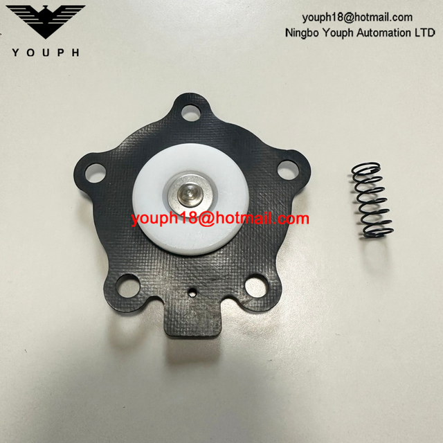 Goyen K2000 M1204B CA20T RCA20T Pulse Jet Válvula Nylon Asiento Diafragma de reparación Kit