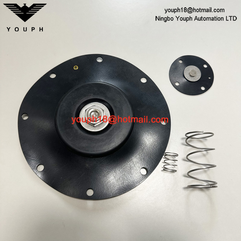 Goyen K10201 CA102MM011-300 -305 -301 RCA102MM 4 'Kit de reparación de diafragma de Viton