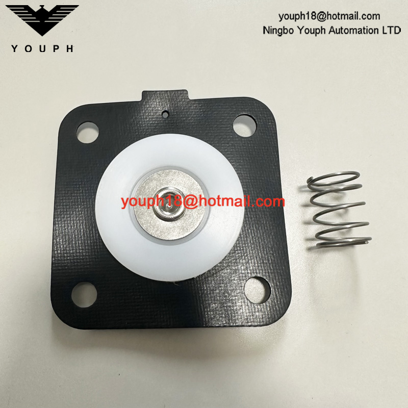 Goyen K2500 M1183 CA32T RCA32T PULSE JET VÁLVULA DIAFRAGM KIT