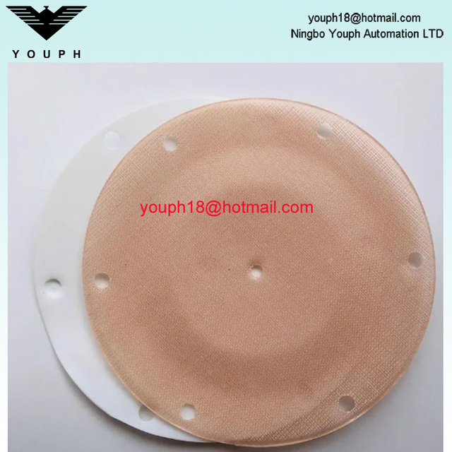 Changjiang QDM-CJ601S Bomba neumática Diafragmas de doble cubierta resistente a la corrosión Diámetro externo 125 mm de 125 mm