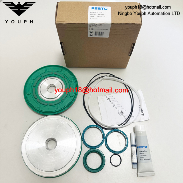 Festo DSBC/G-125-- 8004985 DSBC125 Kit de reparación de cilindros standad