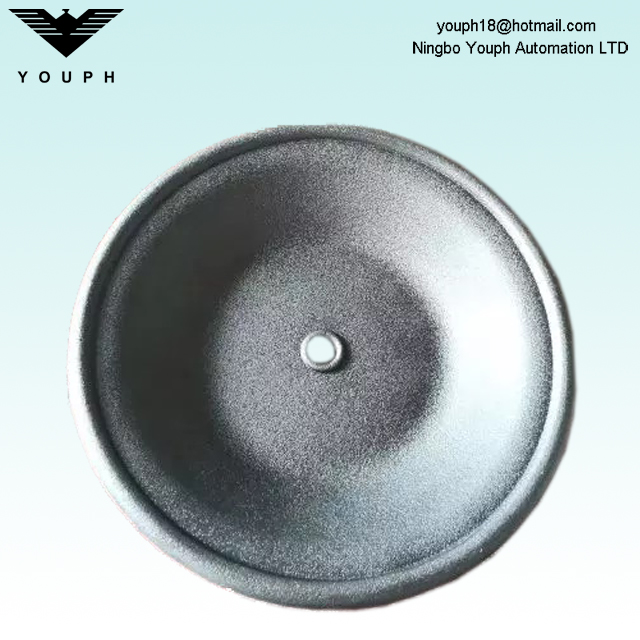 02-1010-52 Diafragma Buna-N para bombas de diafragma neumático de 1 pulgada de 1 pulgada P200 T2