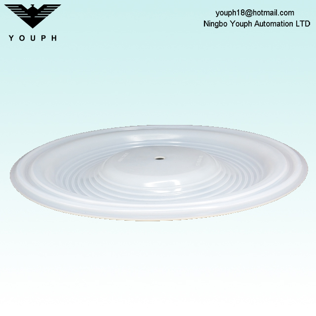 08-1010-55 Diafragma PTFE de 2 'Bomba neumática Wilden P8 T8 Serie 08.1010.55