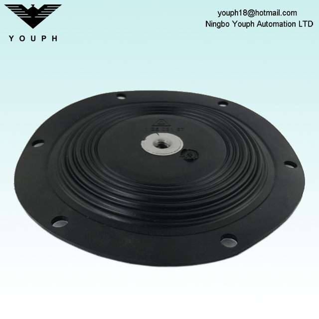12503167 Almatec 1 pulgada PTFE Compuesto Diámetro de diafragma de 190 mm para Bombas de membrana operadas por aire E25TTT E25ETT