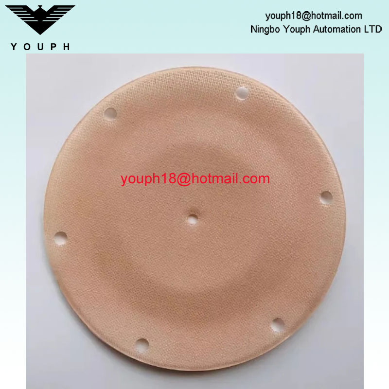 Changjiang QDM-CJ601S Bomba neumática Diafragmas de doble cubierta resistente a la corrosión Diámetro externo 125 mm de 125 mm