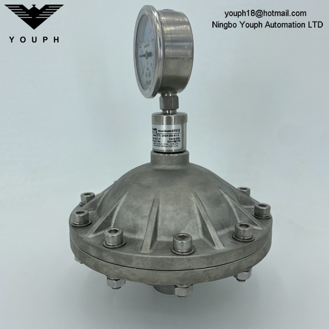 0.6L 3/4 'Hilo 304 Tanque de amortiguación de pulso de acero inoxidable