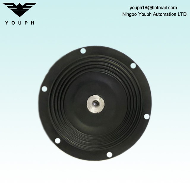 DM25 PTFE Diafragma de Dellmeco DM25/125 Bomba DM25/125 TTT-NPT