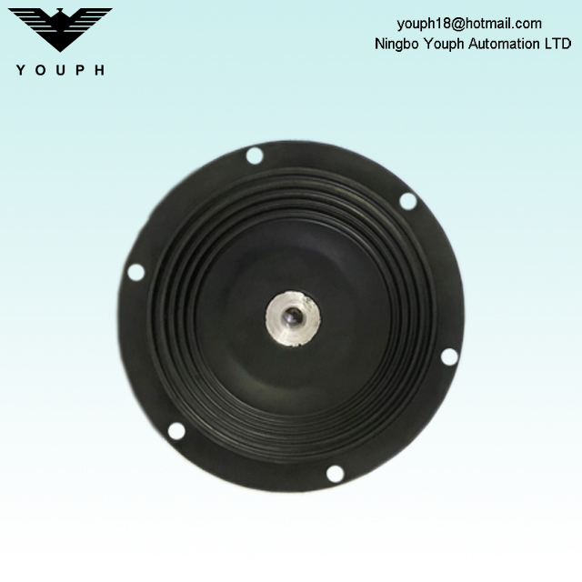 DM25 PTFE Diafragma de Dellmeco DM25/125 Bomba DM25/125 TTT-NPT