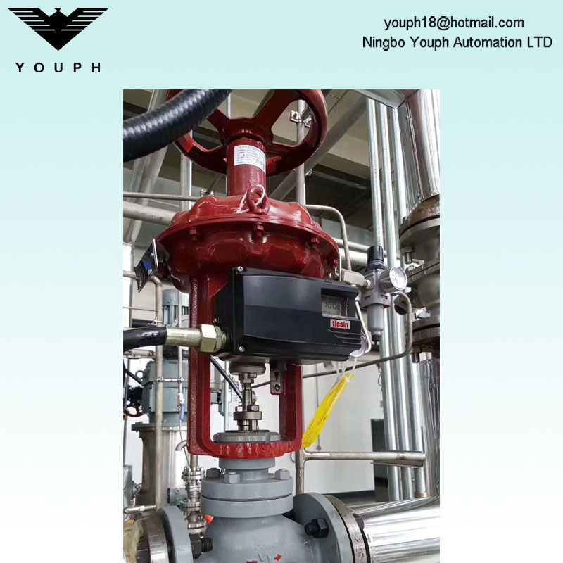 Tissin TS800L TS800 SERIE LINEAL Smart Valve posicioner