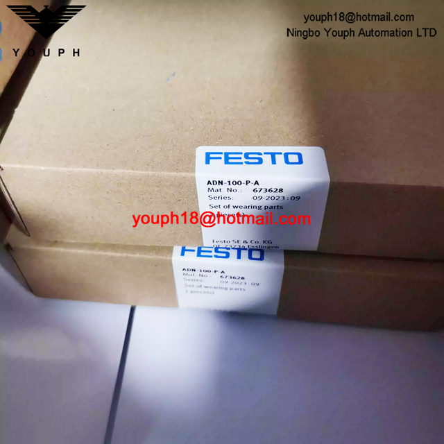 Festo Aen-100-PA 673628 ADN-100 Cilindros compactos ADN/AEN Juego de piezas de uso