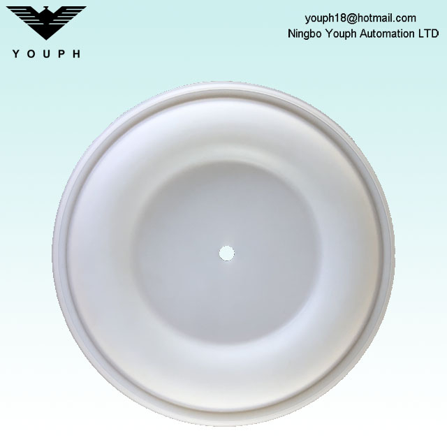 15K313 Husky 2150 2 'Diafragma de la bomba Ptfe Diafragma