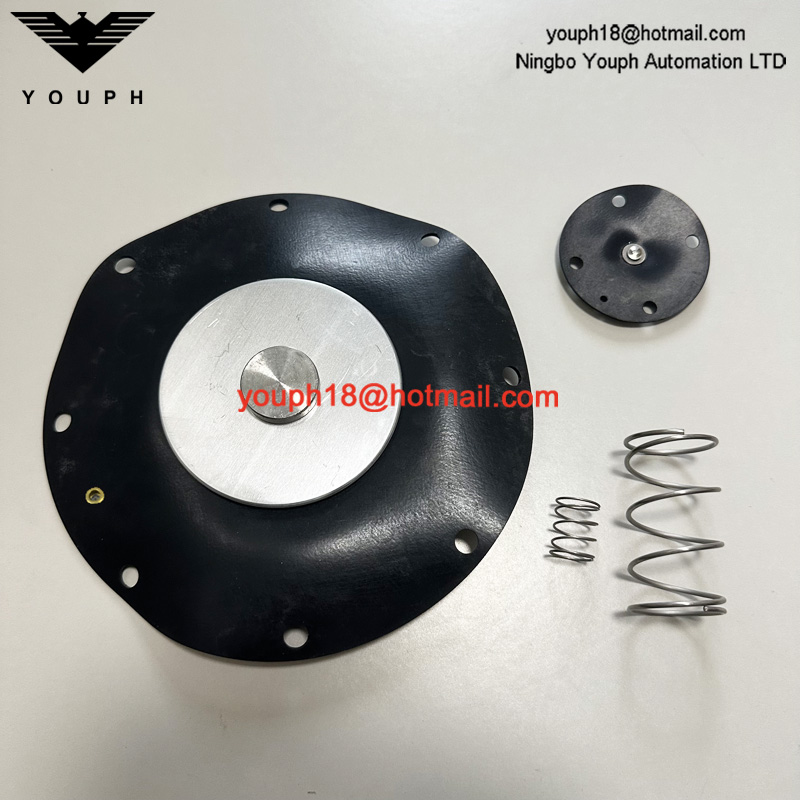 Goyen K10201 CA102MM011-300 -305 -301 RCA102MM 4 'Kit de reparación de diafragma de Viton