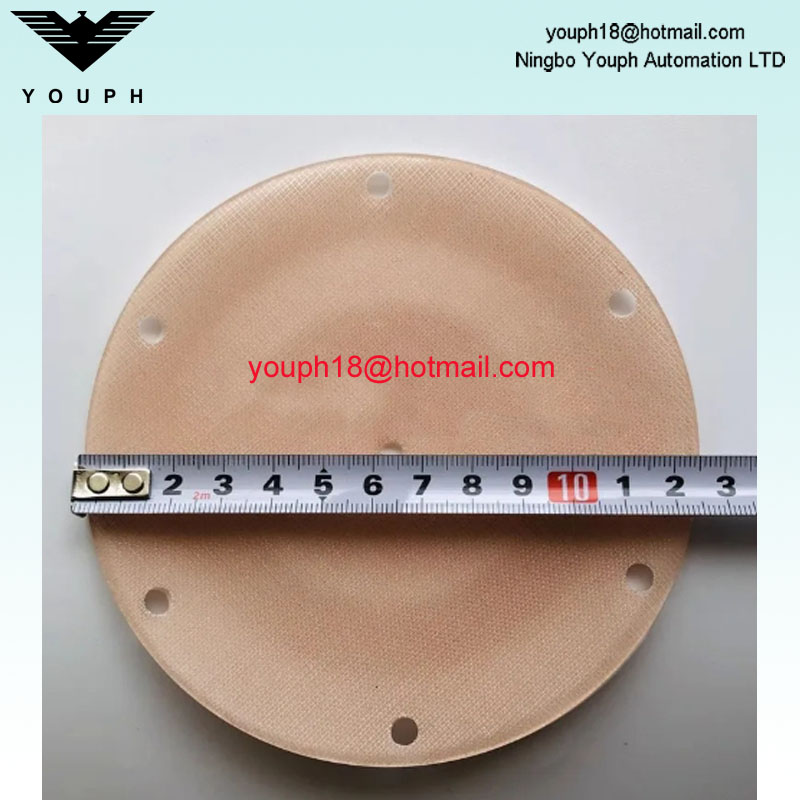 Changjiang QDM-CJ601S Bomba neumática Diafragmas de doble cubierta resistente a la corrosión Diámetro externo 125 mm de 125 mm