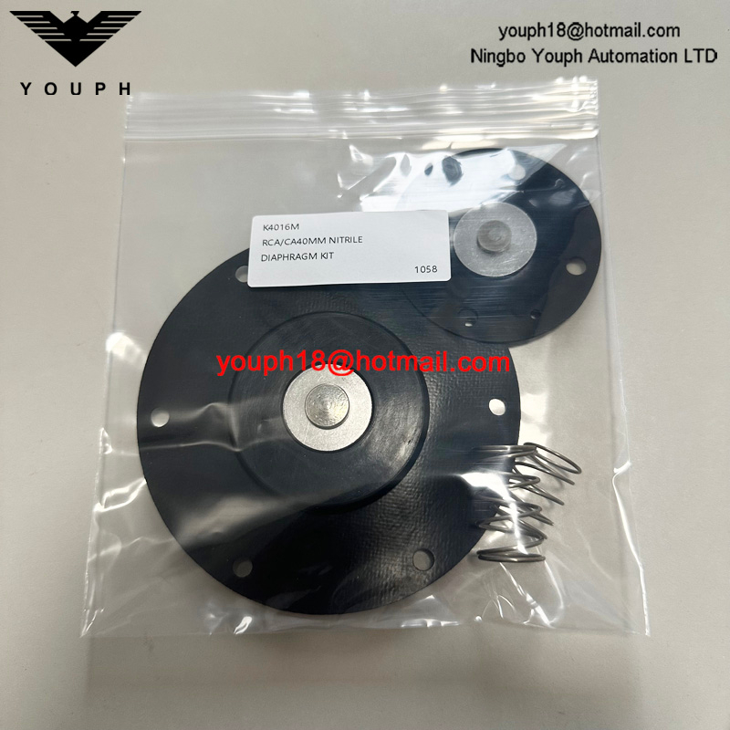GOYEN K4016M Válvula de chorro pulsante RCA40MMFP CA40MMFD6000 DIAFRAGM KIT