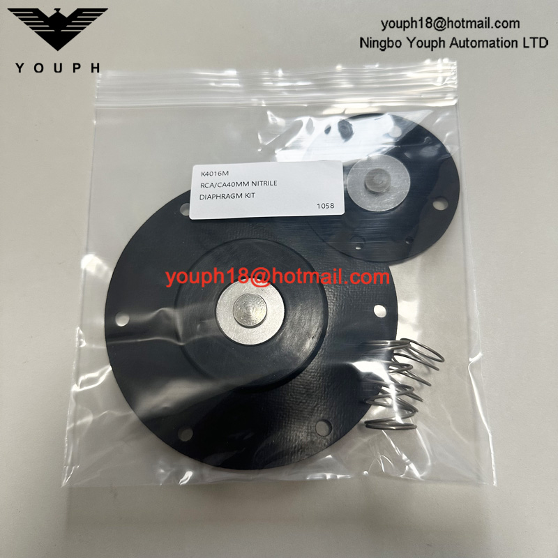 GOYEN K4016M Válvula de chorro pulsante RCA40MMFP CA40MMFD6000 DIAFRAGM KIT