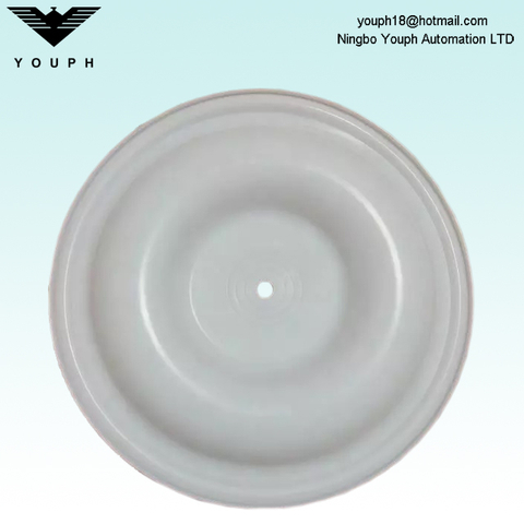 V224TF PTFE Diafragma parte de las bombas de membrana de la serie Versa-Matic de 2 pulgadas 
