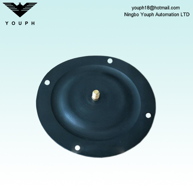 Dellmeco DM10 PTFE DIAFRAGM PARTE Diámetro exterior 99 mm