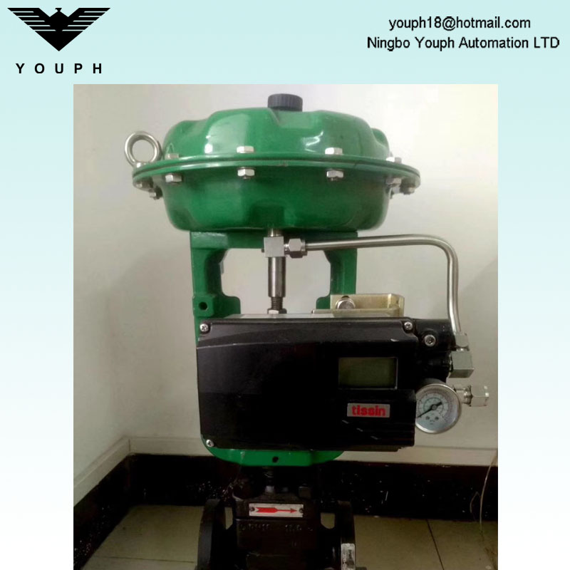 Tissin TS800R TS800 SERIE ROTARY Smart Valve posicioner