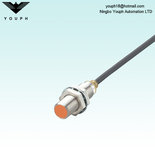 IFM IFS703 IFB3004BBPKG/2M/Sensor inductivo