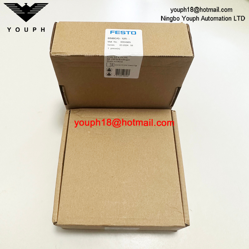Festo DSBC/G-125-- 8004985 DSBC125 Kit de reparación de cilindros standad