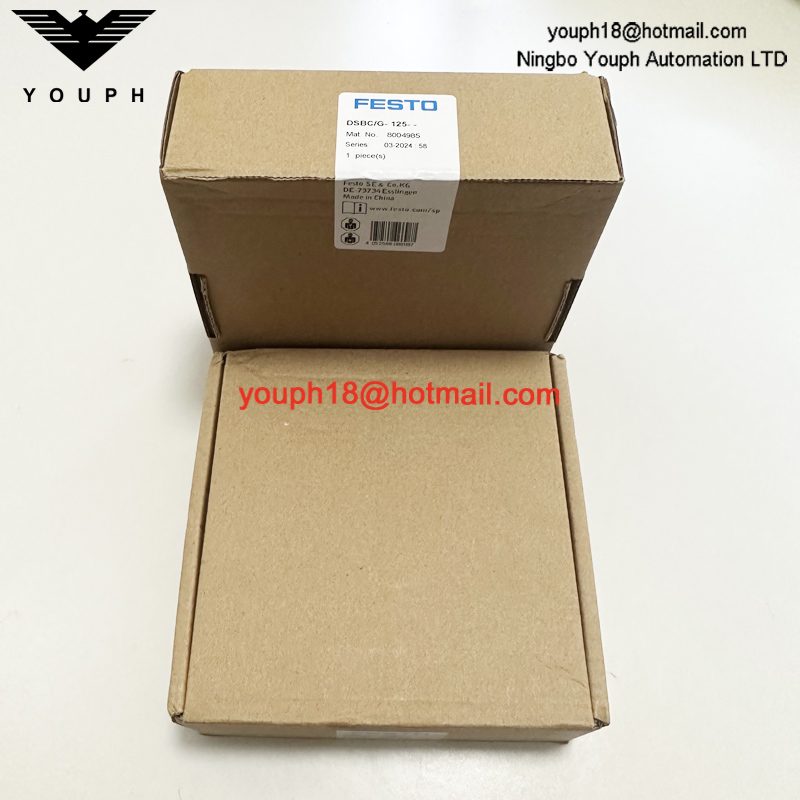Festo DSBC/G-125-- 8004985 DSBC125 Kit de reparación de cilindros standad