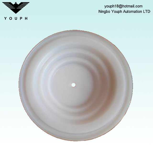 108839 Husky716 Husky515 VA15 VA20 PTFE Membrana D53211 Piezas de diamfragma de la bomba
