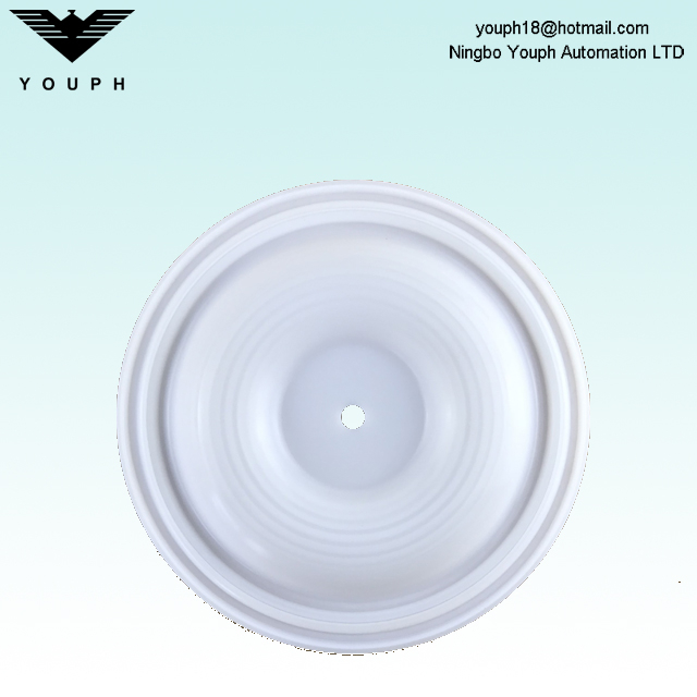 Wilden 02-1010-55 Membrana PTFE para bombas de diafragma neumático de 1 pulgada P2 P200 de 1 pulgada