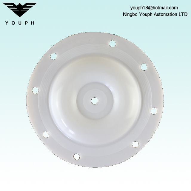 E505TF Versa-Matic 1/2 pulgada PTFE Diafragma 