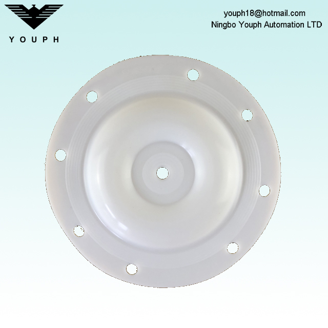 E505TF Versa-Matic 1/2 pulgada PTFE Diafragma 