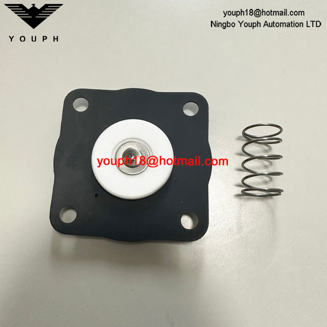 Goyen K2033 RCAC20 RCAC20FS4 RCAC20ST4 Válvula de pulso Kit de diafragma Viton