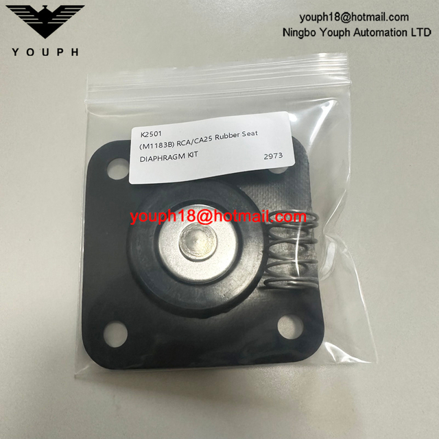 Goyen K2501 M1183B RCA25DD CAC25FS RCAC25FS Válvula de pulso DN25 Kit de diafragma