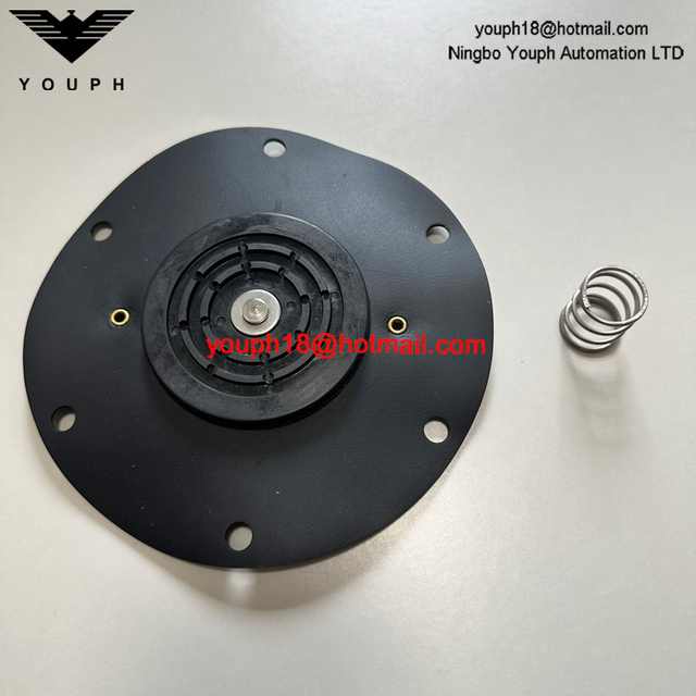 Kit de reparación para la válvula de diafragma 8493635.0000.0000 DN65 102-Small 107 Large Spring 105-Small 108-Large Diafragm