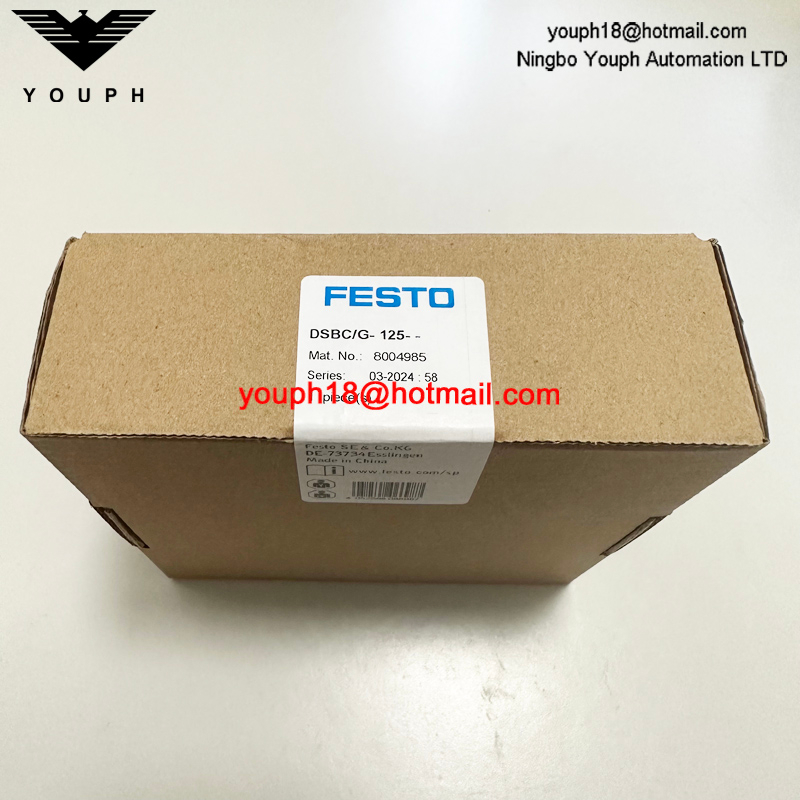 Festo DSBC/G-125-- 8004985 DSBC125 Kit de reparación de cilindros standad