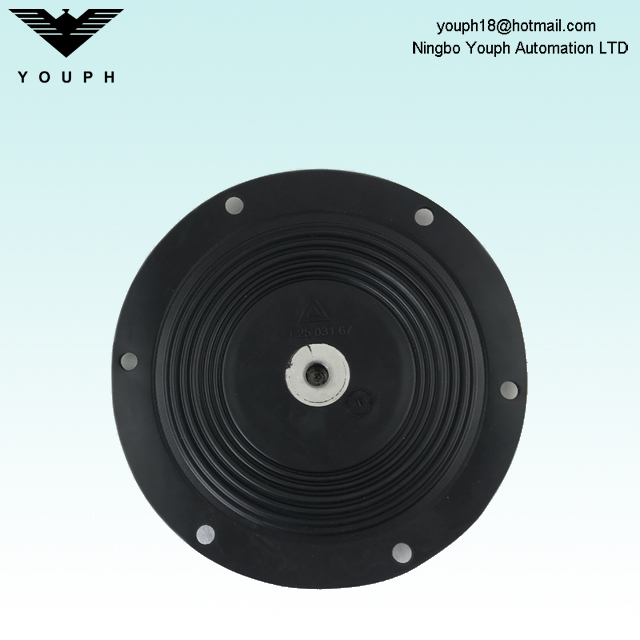 12503167 Almatec 1 pulgada PTFE Compuesto Diámetro de diafragma de 190 mm para Bombas de membrana operadas por aire E25TTT E25ETT
