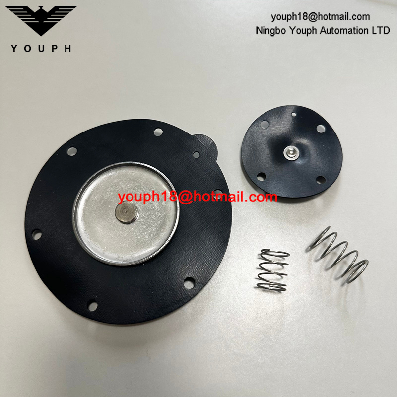 Goyen K4503 M2163 RCA45T RCA45DD CA45T011-300 -305 Válvula de pulso Viton Diafragm Kit