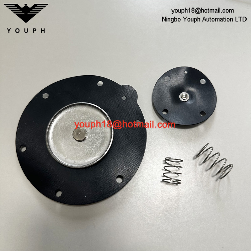 Goyen K4503 M2163 RCA45T RCA45DD CA45T011-300 -305 Válvula de pulso Viton Diafragm Kit