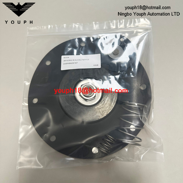 Goyen K5004 (M1638A) RCA62T CA62T T-T-T-TH VÁLVULA JET VÁLVULA DE REPARACIÓN