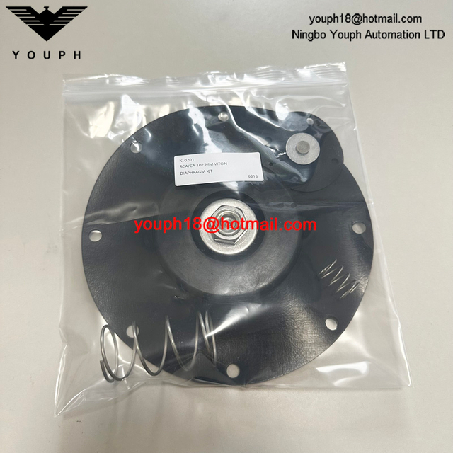 Goyen K10201 CA102MM011-300 -305 -301 RCA102MM 4 'Kit de reparación de diafragma de Viton