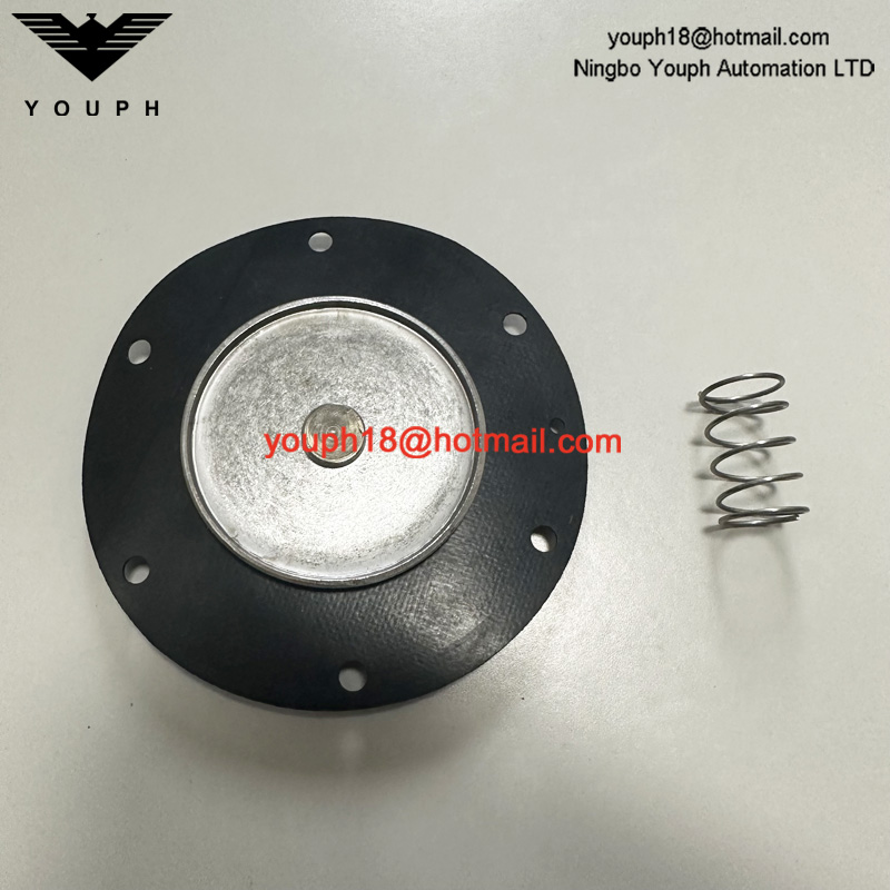 Goyen K3500 M1581 Válvula de diafragma CA/RCA35T Kit de reparación de nitrilo